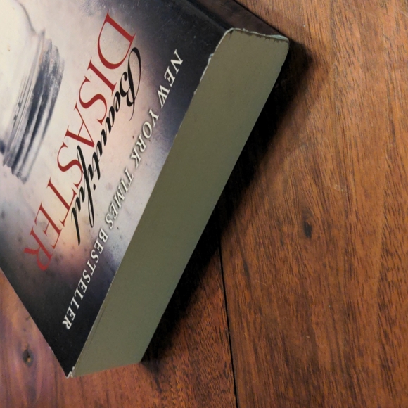 Beautiful Disaster Book - Picture 5 of 8